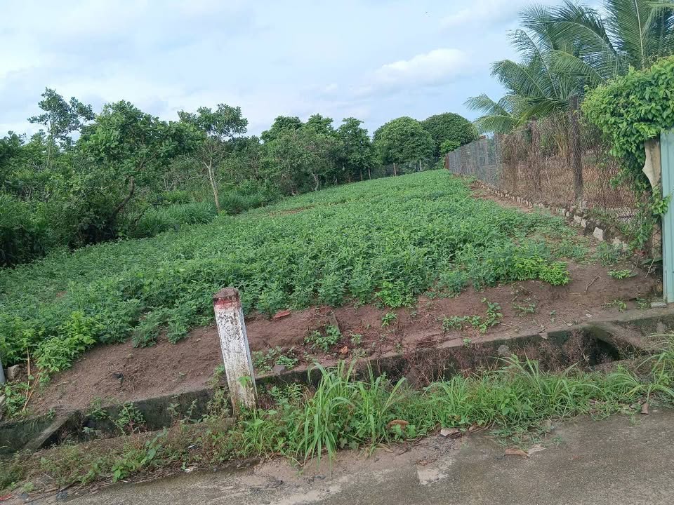 Đất nền tại xã Nghĩa Thành, Châu Đức, 480m² giá 1,9 tỷ - Đầu tư sinh lời ngay!