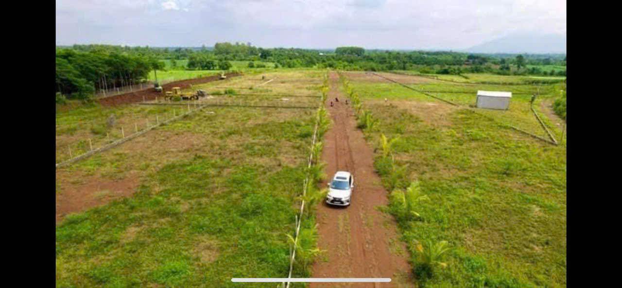 Đất cho thuê tại Xã Xuân Bảo, Huyện Cẩm Mỹ, 30.000m² - Phù hợp trồng sầu riêng và cà phê!