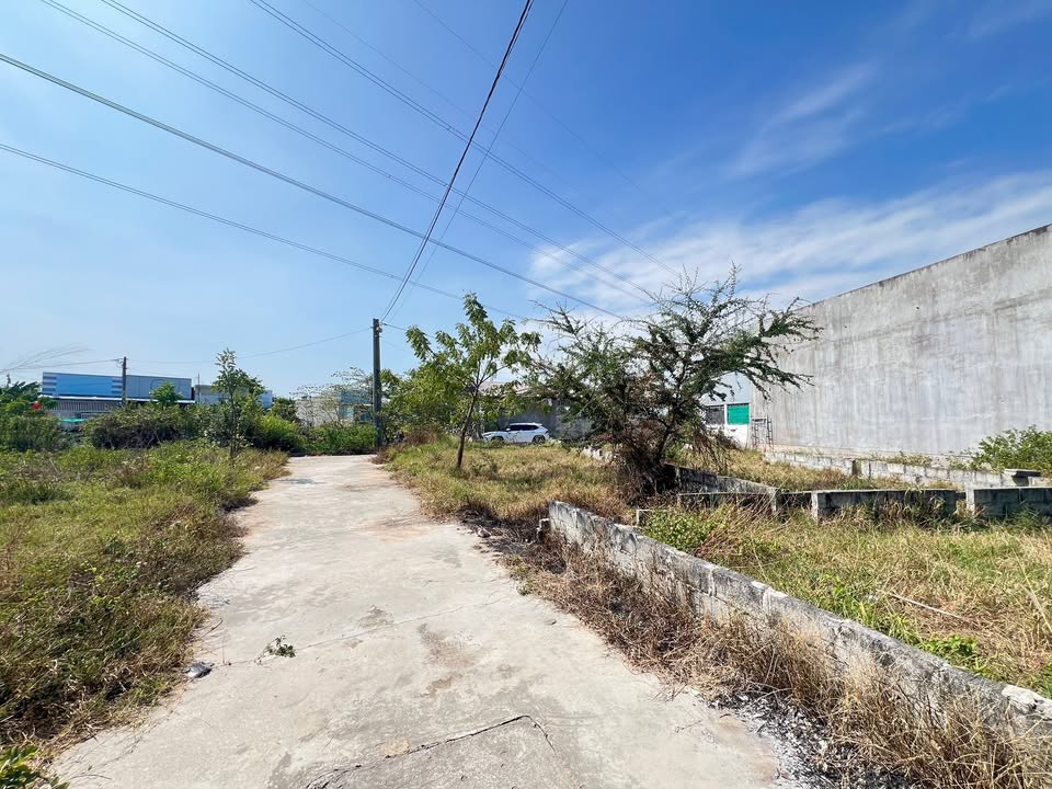 Đất thổ cư 257m² tại Đường Bê Tông, Xã Hàm Liêm giá 1.45 tỷ - Đầu tư sinh lời ngay!