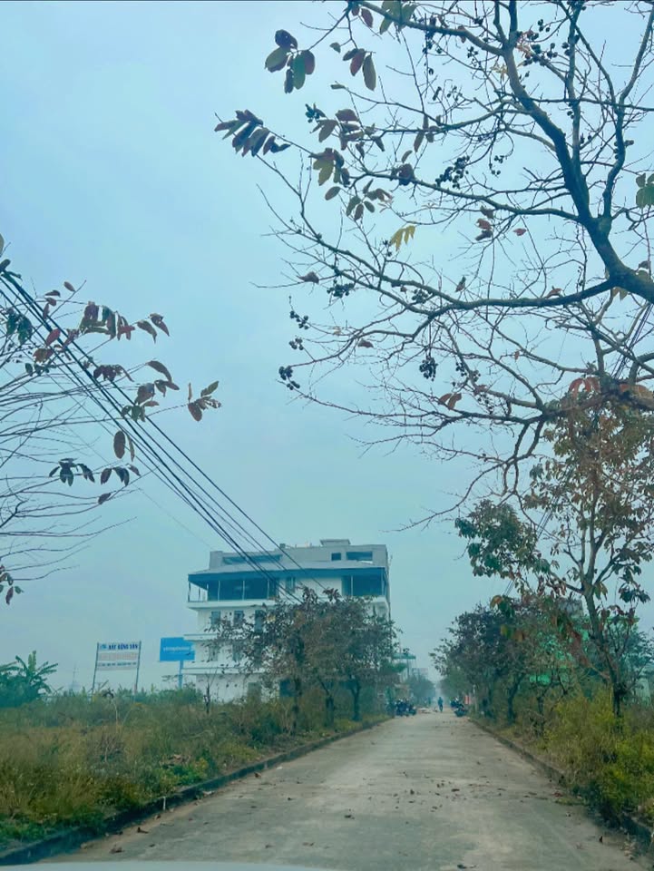 Đất dịch vụ xã Liên Minh, huyện Vụ Bản 100m² giá thỏa thuận - Cơ hội đầu tư tuyệt vời!