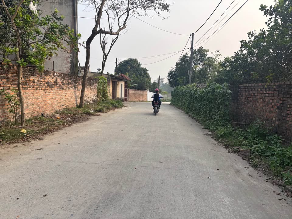 Đất nền 100m² tại Bắc Lý, Hiệp Hòa - Giá chỉ 800 triệu - Đường rộng ô tô tránh nhau!