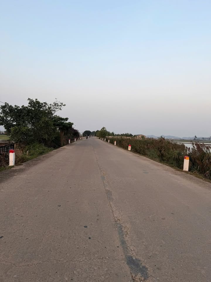 Đất nền Đê Sơn, Huyện Gia Viễn, 300m² giá 1.6 tỷ - Sổ đỏ chính chủ, xây dựng tự do!