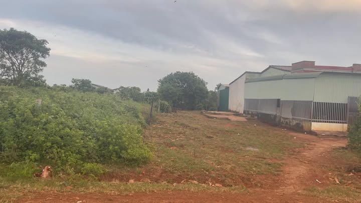 Đất thổ cư Thị trấn Chư Ty, Huyện Đức Cơ, 280m² giá 650 triệu - Pháp lý đầy đủ!