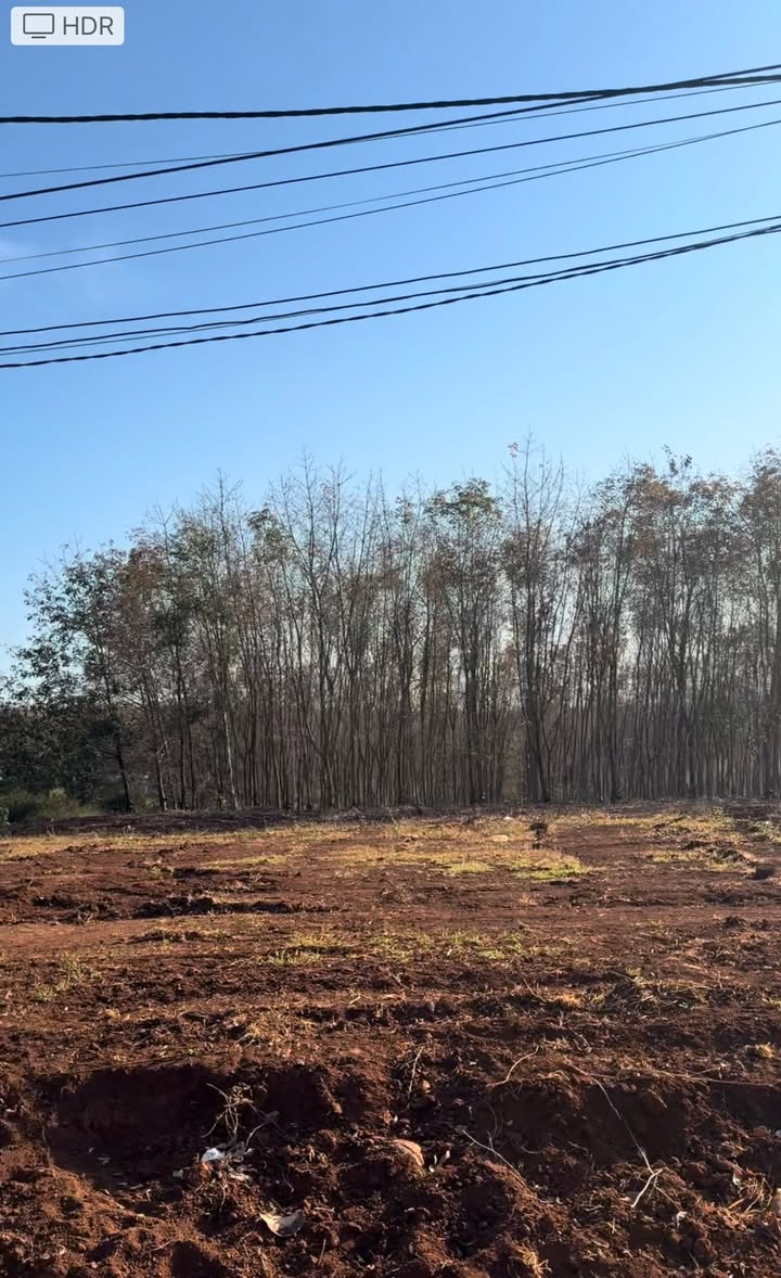 Đất nền Nguyễn Thái Học, Đức Cơ, Gia Lai 255m² giá 1 tỷ - Đầu tư sinh lời hấp dẫn!