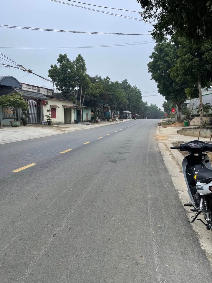 Đất thổ cư Thị trấn Sao Vàng 295m² giá 2 tỷ - Vị trí kinh doanh lý tưởng!