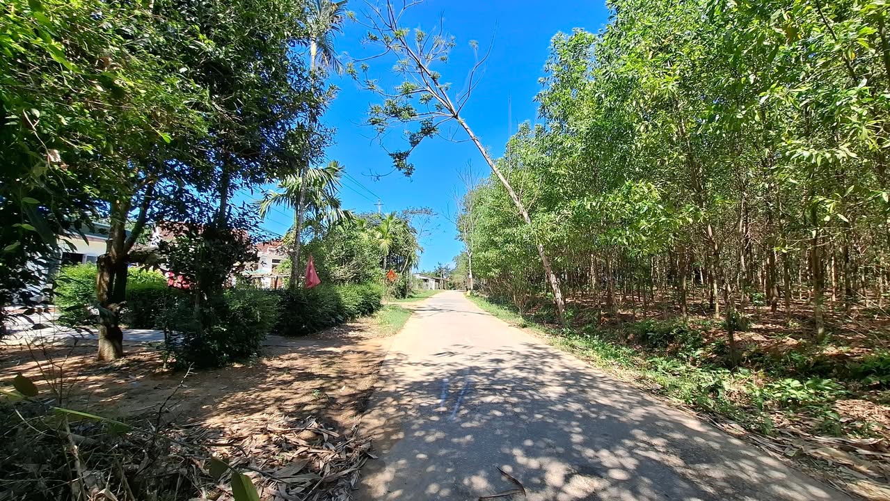 Đất mặt tiền xã Lộc Hòa 597m² giá chỉ 600 triệu - Cơ hội đầu tư hấp dẫn!