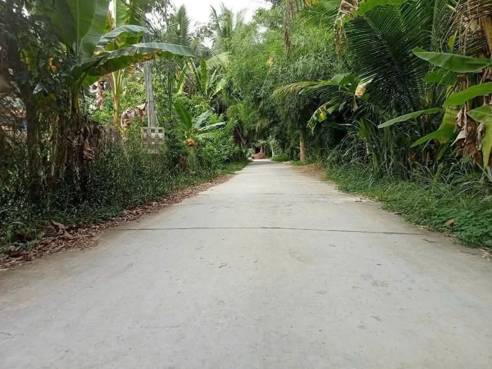 Đất nền Phước Thạnh, Mỹ Tho 1588m² giá 890 triệu - Cơ hội đầu tư hấp dẫn!