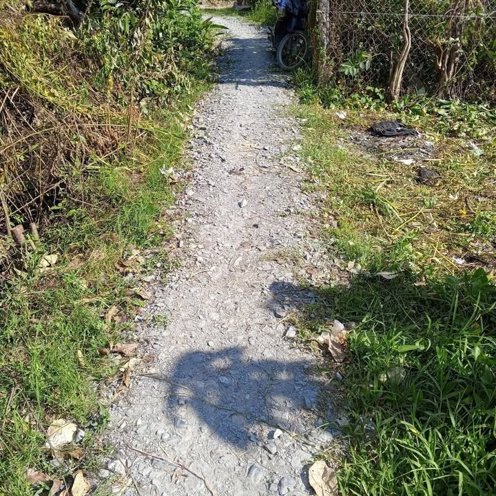 Đất thổ cư Ấp 1, Xã Trung An, Mỹ Tho 68m² giá 350 triệu - Cơ hội đầu tư hấp dẫn!