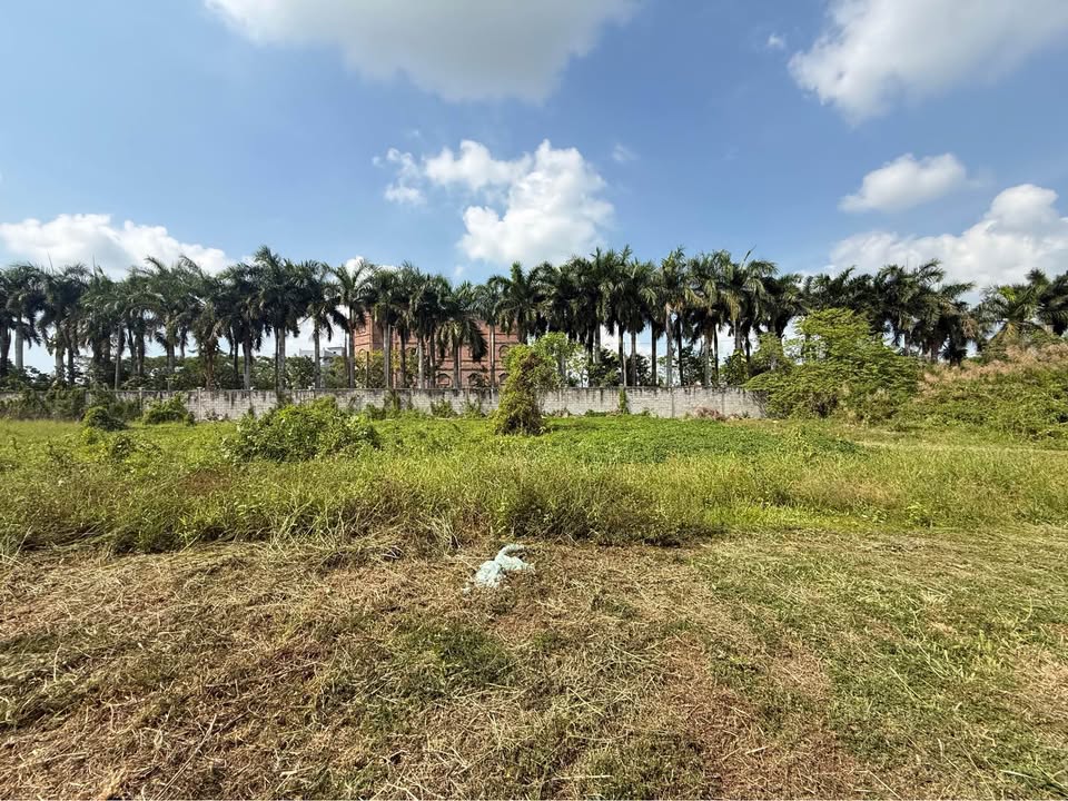 Đất thổ cư 223m² tại Võ Trường Toản, Rạch Giá - Cơ hội đầu tư hấp dẫn!