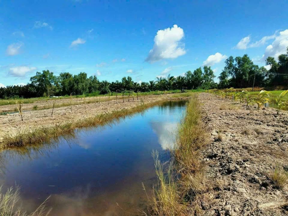 Đất nền 1.718m² tại ấp Thới Bình, Gò Quao, Kiên Giang - Giá chỉ 460 triệu