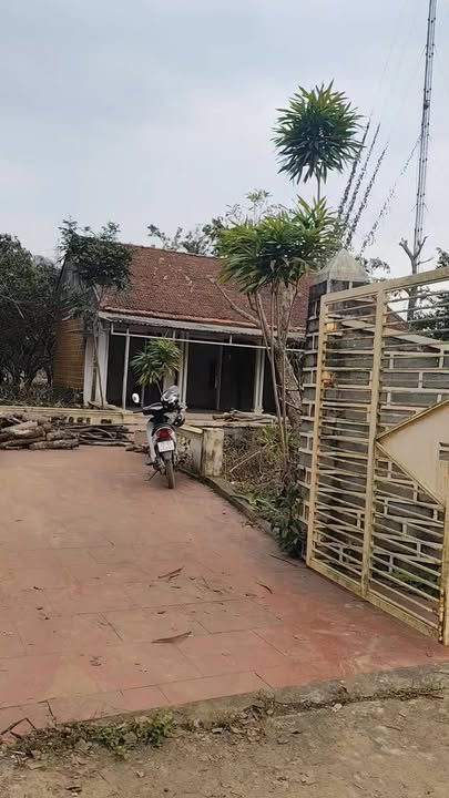 Đất nền đẹp tại Hòa Sơn, Lương Sơn 4000m² - Cơ hội đầu tư không thể bỏ qua!