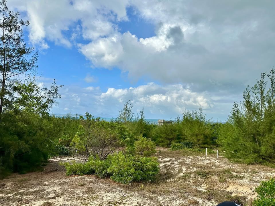 Đất Farm Cù Lao Mái Nhà, 10.000m² chỉ 10 tỷ - View biển tuyệt đẹp!