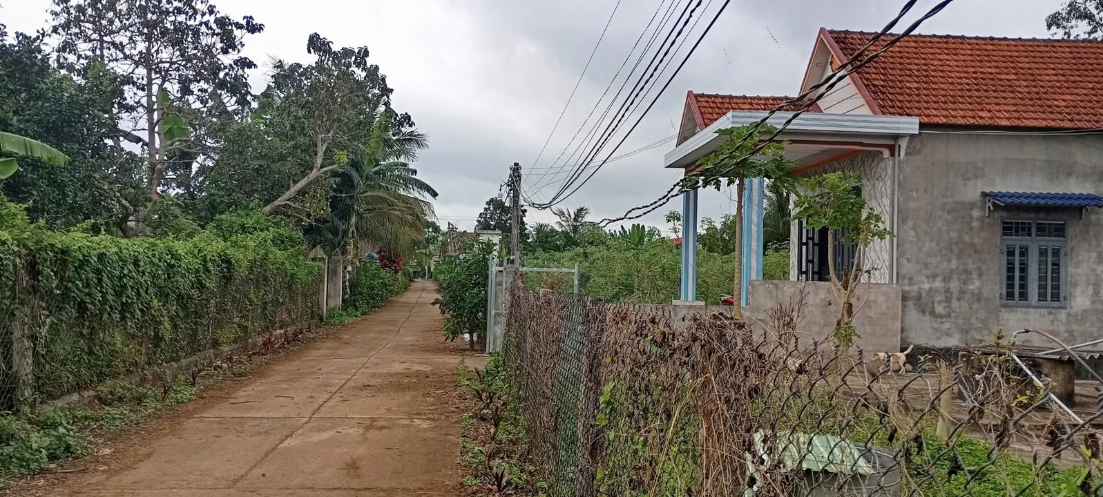 Đất nền Xã Sơn Thành Đông 470m² giá 800 triệu - Sổ đỏ chính chủ, đầu tư sinh lời!