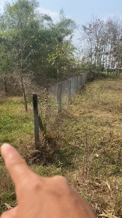 Đất nền Long Giang, Bến Cầu 179m² giá chỉ 230 triệu - Cơ hội đầu tư hấp dẫn!