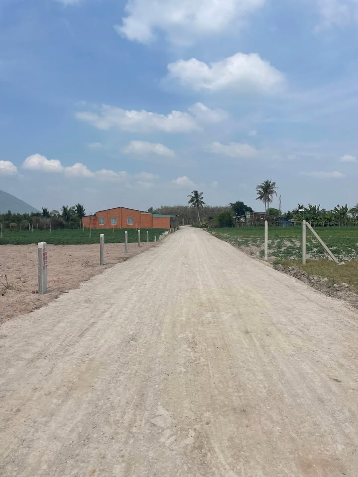 Đất nền Xã Dương Minh Châu 200m² giá chỉ 319 triệu - Nhanh tay sở hữu!