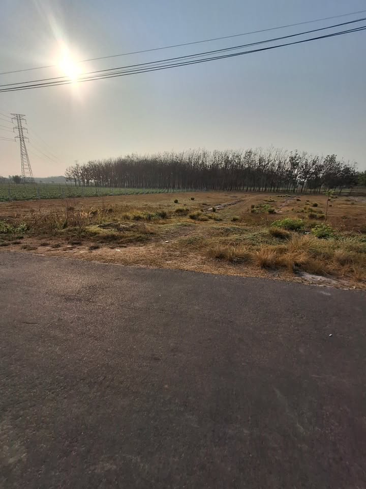 Đất nền xã Ninh Điền, Châu Thành, 1440m² giá chỉ 1.15 tỷ - Cơ hội đầu tư tốt!