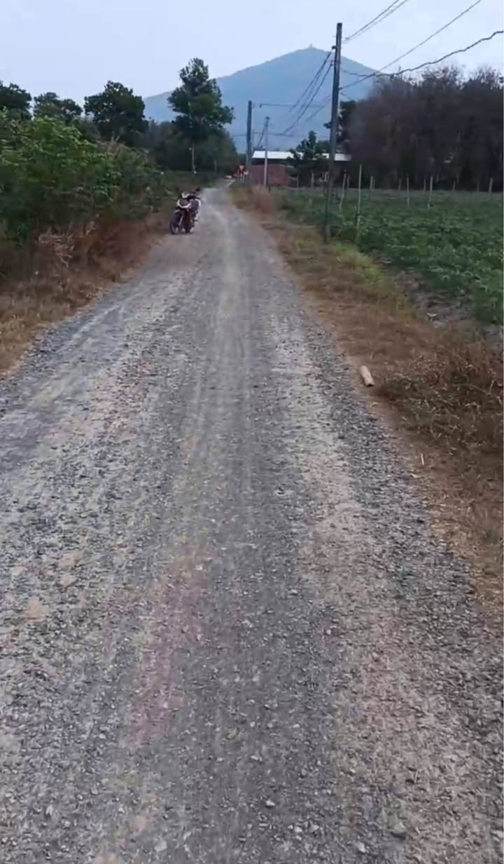 Farm 3700m² tại Tân Bình, Tây Ninh - Phù hợp cho khu nghỉ dưỡng