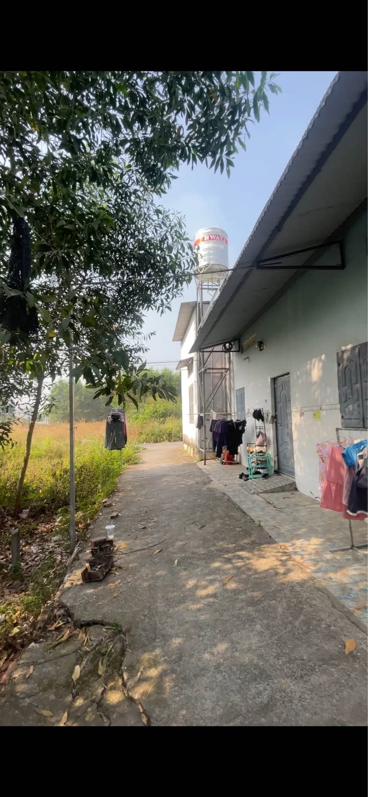 Đất 2 mặt tiền An Viễn Trảng Bom 125m² giá 1.6 tỷ - Đầu tư sinh lời ngay!