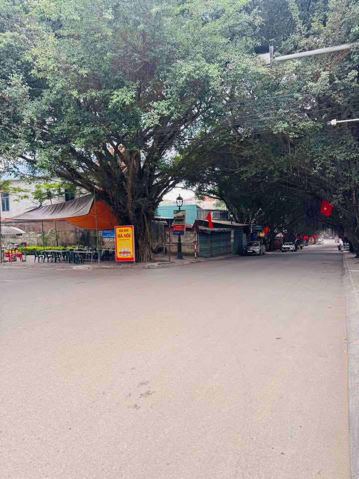 Đất nền mặt tiền Đại lộ Hùng Vương, 488m² giá 10 tỷ - Đầu tư sinh lời ngay!