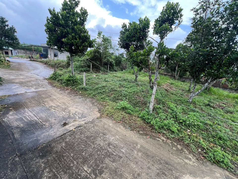 Đất nền Hòa Ninh 500m² giá 3 tỷ - Dân cư thân thiện, ô tô vào tận nơi!