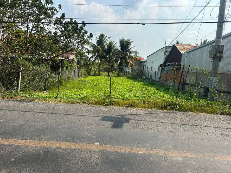 Đất nền xã Mỹ An Hưng A, huyện Lấp Vò 778m² giá 1.9 tỷ - Cơ hội đầu tư hấp dẫn!