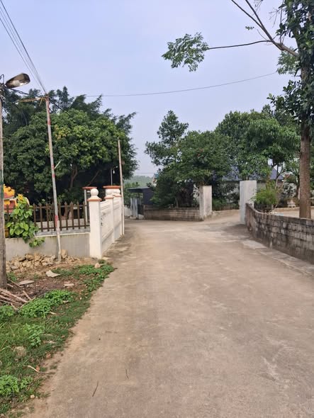 Đất nền khu 12, Xã Tu Vũ, 220m² giá 999 triệu - Cơ hội đầu tư tuyệt vời!