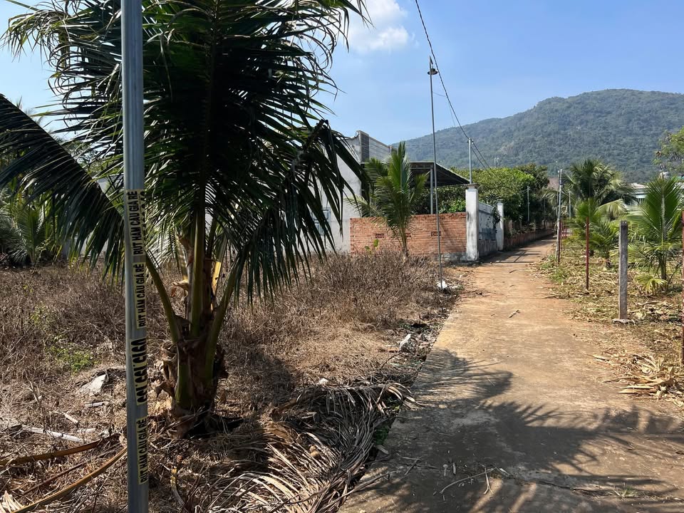 Đất nền Xuân Trường 135m² giá chỉ 6xx triệu - Cơ hội đầu tư hấp dẫn!