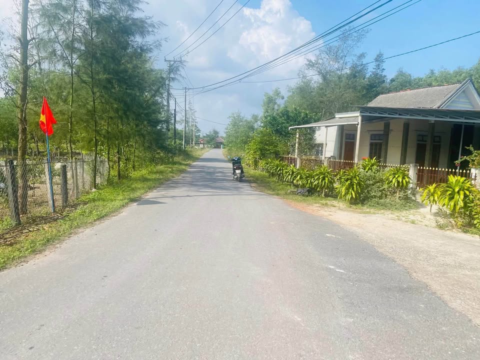 Đất nền Triệu Cơ 120m² giá chỉ từ 2xx triệu - Cách biển chỉ 2 phút!