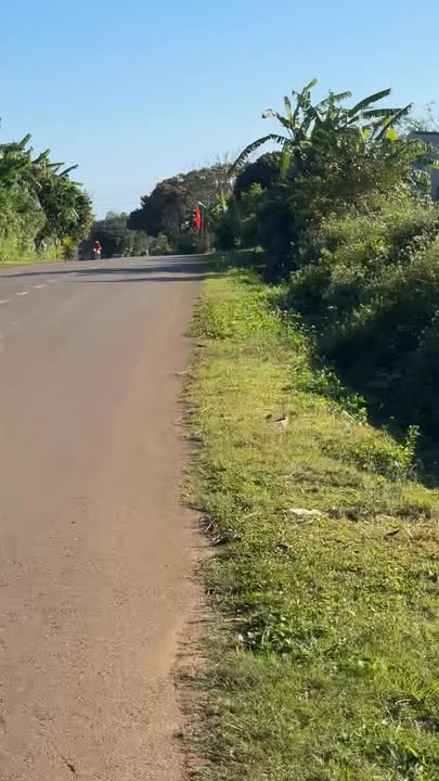 Đất nền thị trấn Cửa Tùng, Quảng Trị 500m² giá chỉ 300 triệu - Cơ hội đầu tư hấp dẫn!