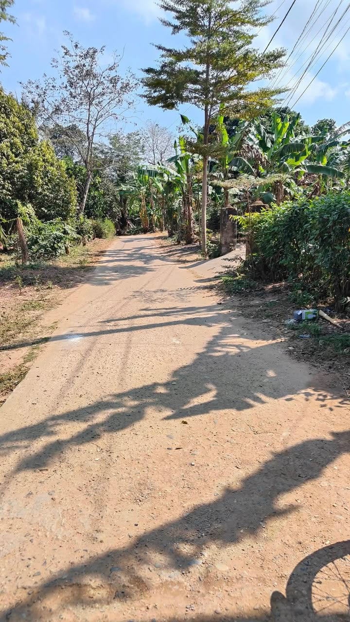 Đất nền Thị trấn Lao Bảo, Huyện Hướng Hóa, 240m² - Giá chỉ 3xx triệu VND!