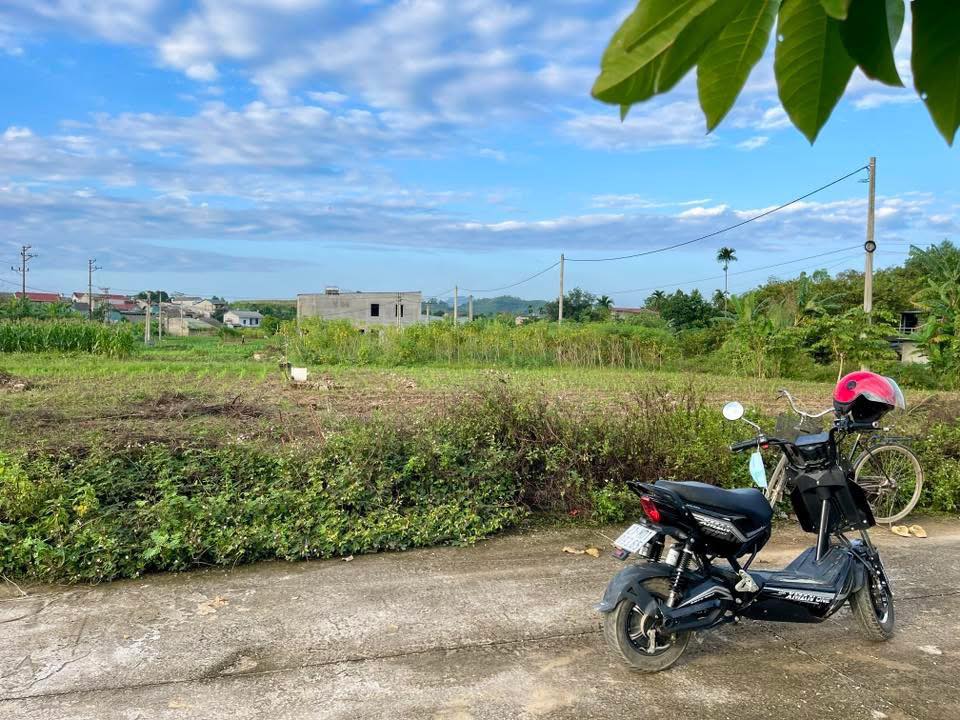 Đất tái định cư Thị Xã Nghĩa Lộ 100m² giá 700 triệu - Đường rộng, vị trí đẹp!