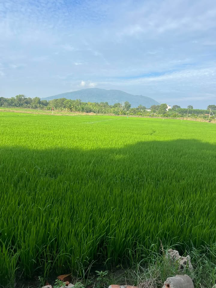 Đất nền chính chủ tại xã Xuân Thọ, 400m² chỉ 1.6 tỷ - Cơ hội đầu tư tuyệt vời!