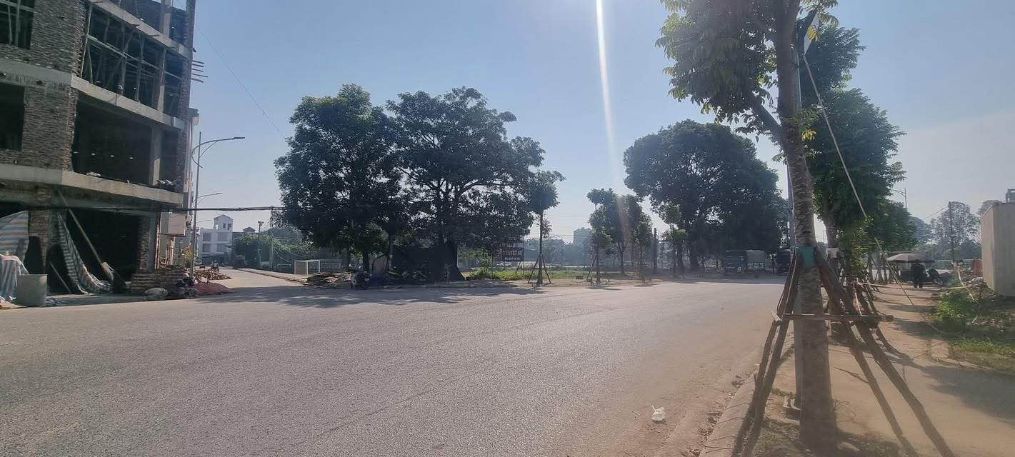 Đất dịch vụ Yên Lũng 80,7m² giá 1.452 tỷ - Vị trí kinh doanh đỉnh cao!