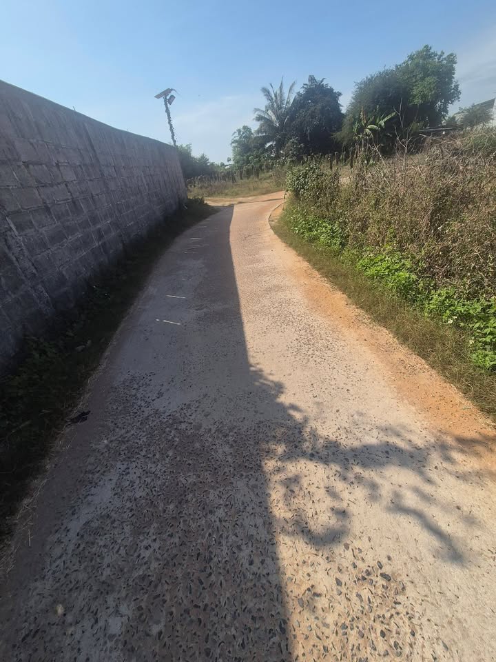 Đất 2 sào tại Quốc lộ 28, Hàm Thuận Bắc - Giá chỉ 200 triệu/sào