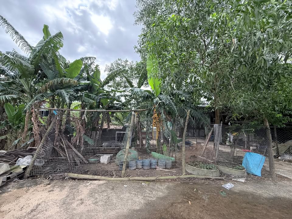 Đất nền đẹp 140m² tại Điện Bàn, Đà Nẵng - Chính chủ bán gấp!