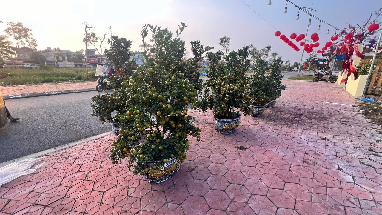 Đất nền Tiên Lãng Hải Phòng 120m² giá 1 tỷ - Đầu tư sinh lời tuyệt vời!