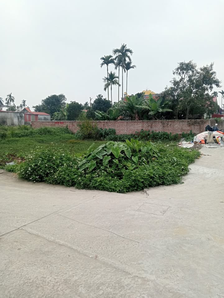 Đất nền lô góc 2 mặt tiền tại Thanh Lương, Vĩnh Bảo, 92m² - Giá thỏa thuận hấp dẫn!