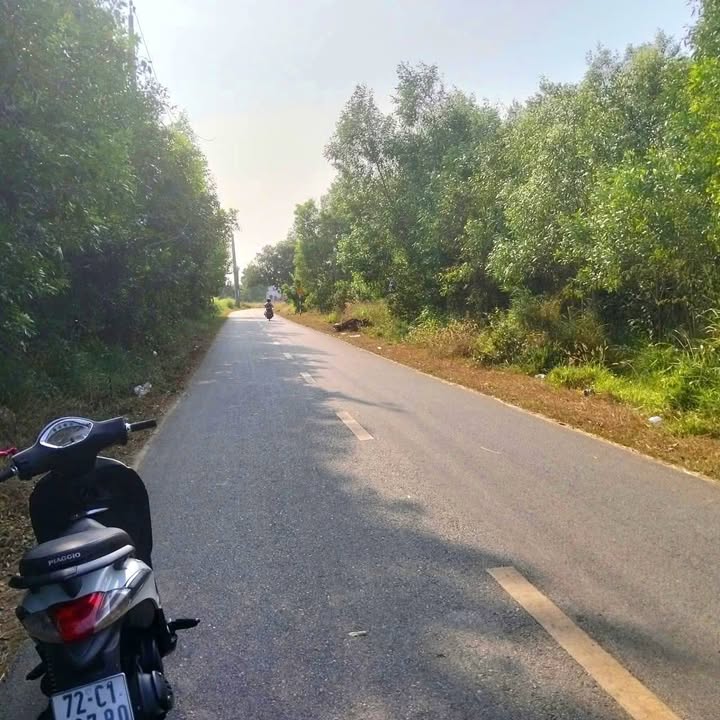 Đất nền mặt tiền đường Nguyễn Huệ, xã Đất Cuốc, 160m² giá 950 triệu - Cơ hội đầu tư hấp dẫn!