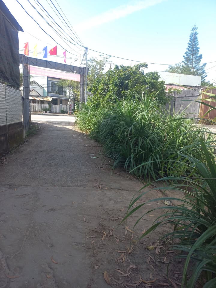 Đất nền Phường An Phú, Tam Kỳ 85m² giá chỉ 9xx triệu - Sổ đỏ chính chủ!