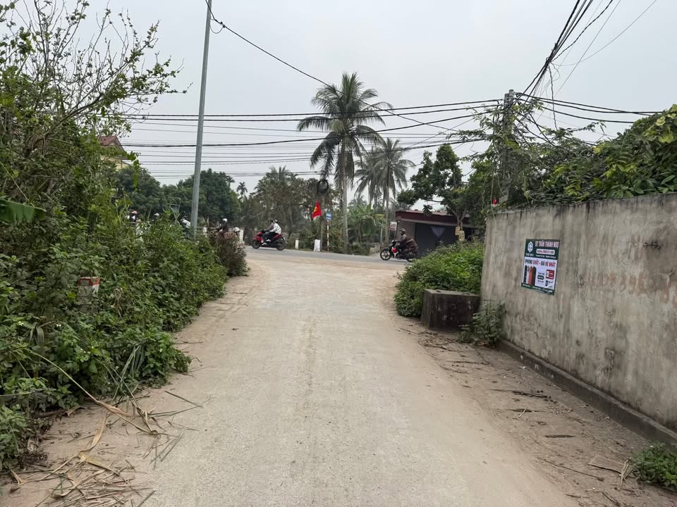 Đất nền tại xã Quyết Tiến, huyện Tiên Lãng, 100m² - Đường ô tô vào tận nơi!