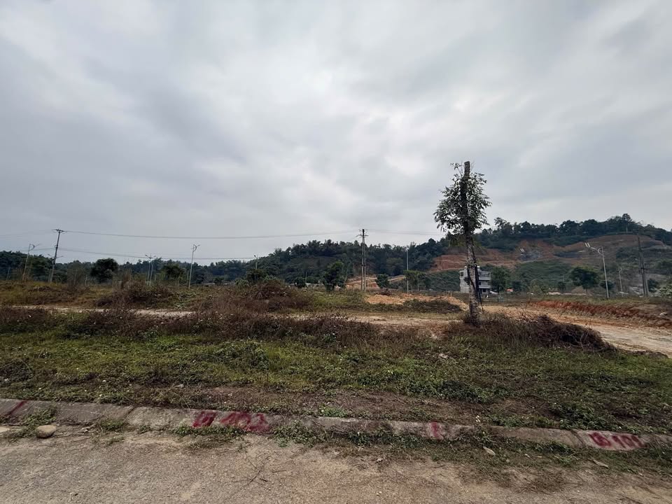 Đất nền mặt tiền 6,5m đường T1, Lào Cai 130m² – Hướng Đông Bắc, giá 1.78 tỷ