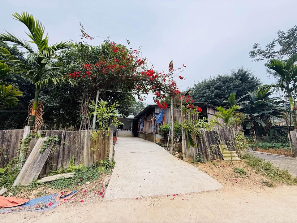 Đất nền Duyên Hải Lào Cai 100m² giá 1 tỷ - Đầu tư sinh lời hấp dẫn!