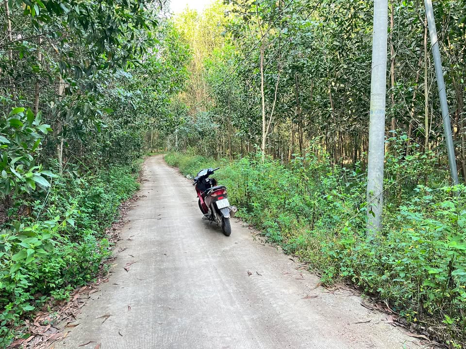 Đất nền 1056m² tại xã Xuân Tâm, Xuân Lộc - Giá chỉ 6.336 tỷ!