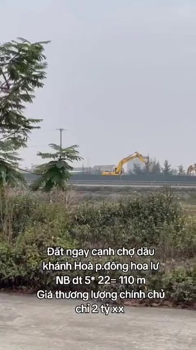 Đất nền chính chủ tại Chợ Dầu, Phường Ninh Phúc, 110m², giá 2 tỷ - Đầu tư sinh lời ngay!