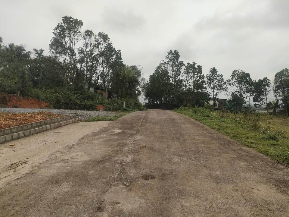 Đất thổ cư 3117m² tại Thôn Hưng Hòa, Xã Nam Điền - Giá 6 tỷ - Đường 6m thông thoáng!