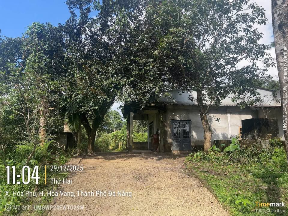 Lô đất Hòa Phú Hòa Vang 7,75ha - Pháp lý rõ ràng, Tiềm năng đầu tư lớn!