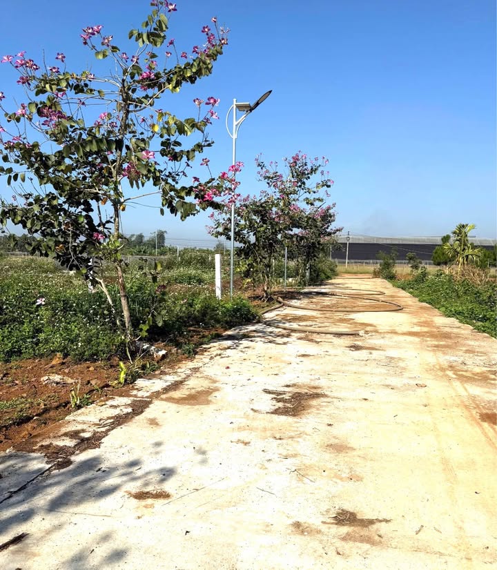 Lô đất đẹp tại Đinh Văn, Lâm Hà 140m² giá 615 triệu - Cơ hội đầu tư tuyệt vời!