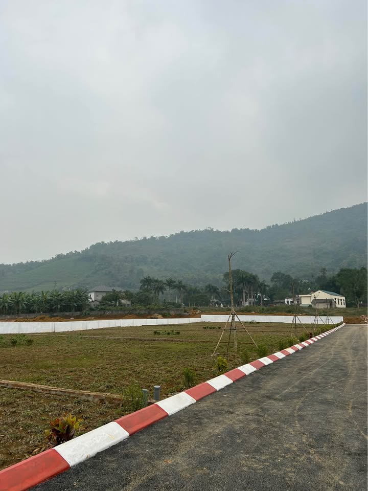 Đất nền Cư Yên, Lương Sơn 590m² giá 2 tỷ - Hạ tầng hoàn thiện, sẵn sàng xây dựng!