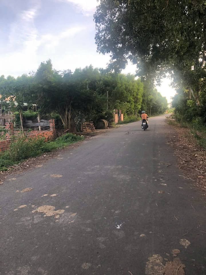 Đất Farm 1,4 sào tại Long Phước, Bà Rịa - Giá 5.8 tỷ - Đầu tư sinh lời ngay!