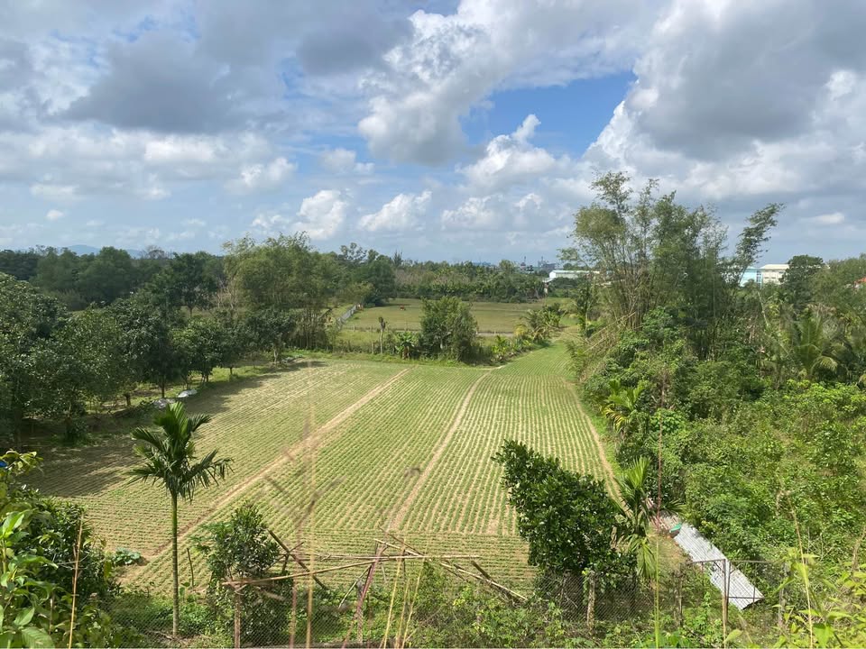 Đất nền khu đô thị An Phú 5, Tam Kỳ 3000m² - Giá thỏa thuận hấp dẫn!